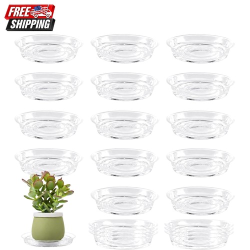 Pack inch plant - 20, saucers